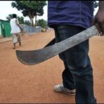 18,949 Doctors Left Nigeria for Greener Pastures Between 2024-2025
