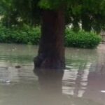 Six Arrested for Stealing 30km of Warri–Kaduna Pipeline as Edo Task Force Uncovers Widespread Sabotage, Land Grabbing