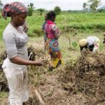 No Part of Plateau Under Bandit Control, Says Governor Mutfwang