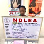 Nigeria Ranks Second Globally in Paternity Fraud Cases