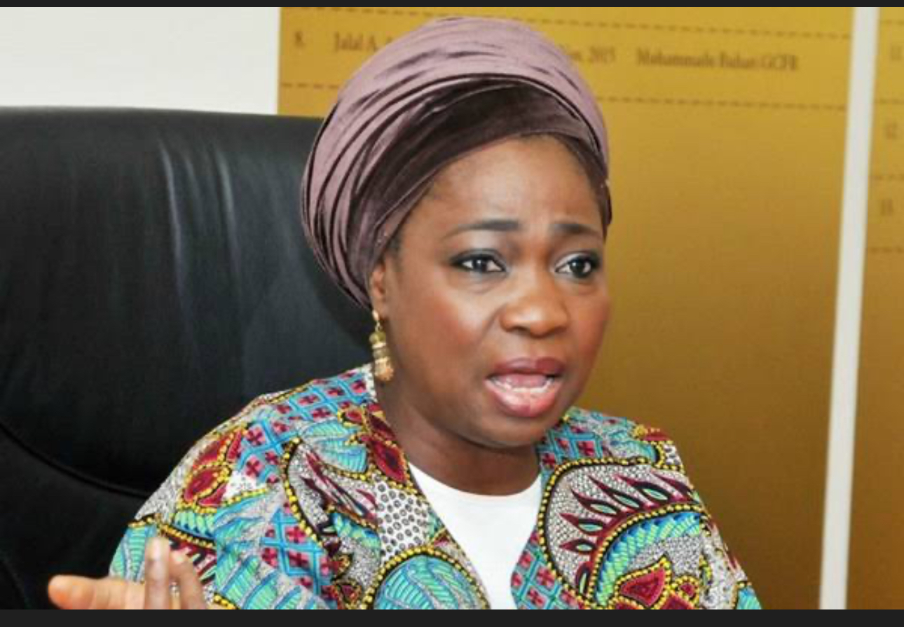 NIDCOM Boss Urges Fairness Amid Crime Stereotypes, Warns One Bad Apple Should Not Define Nigerians Abroad