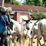 U.S. Mission Allegedly Engaging in Smear Campaign, Diplomatic Overreach Against Nigeria 