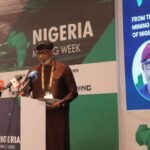 Court Grants Police Access to Sowore’s Bank Records Over Alleged Terrorism Financing