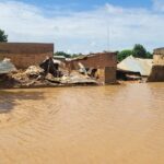 Edo Govt Condemns Killing of Endangered Hippopotamus in Anegbete