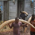 Family Counts Losses as Thunderstorm Snaps Transmission Line in Enugu