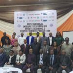 Ogun Cracks Down on Chinese Firms over Assault on Officials