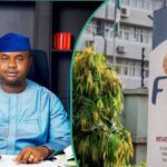 Oil Extends Gains, Naira Appreciates After CBN Rate Cut