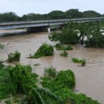 Zamfara PDP Dismisses Lawmaker’s Defection, Says Party Remains Strong and United