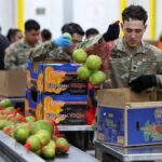 Court Rejects Sule Lamido’s Request To Stop PDP National Convention