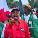Police Deny Firing Live Bullets, Say Only Tear Gas Used to Disperse Abuja Protesters