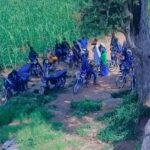 Over 592 Terrorists Killed in Borno Since March, Reveals FG