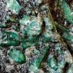 Premier League Introduces New Rule Blocking Clubs From Selling Assets to Themselves