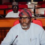 Yerima Was Wrong to Stop Wike on Duty, Opines Ex-NBA President Daudu