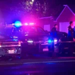 Isak Scores First Premier League Goal as Liverpool Defeat West Ham 2–0