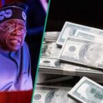 KWAM 1 Submits Royal Lineage Form to Fusengbuwa Ruling House for Awujale Stool