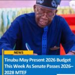 Tinubu: Prophetic in Vision, Delivering with Foresight