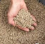 Otti Dismisses Post-Tenure Ambitions, Says Governorship Will Mark His Exit from Politics