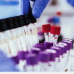 Borno Residents Seek Clarity After Tinubu Unveils Electric Bikes Despite State Government’s Ban