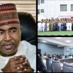 Customs Seize Smuggled Vehicles, Donkey Skins, Fuel Worth Over N229m in Bauchi