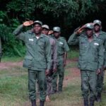 Abia State Now Free From National Grid Collapse, Says Governor Alex Otti