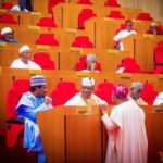 Africa Needs Long-Term Capital, Not Just Aid, Says Shettima