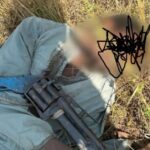 ‎Probe Ministry over ₦128bn Power Sector Funds, SERAP Urges Tinubu  ‎