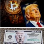 EU Announce €557 million Humanitarian Aid for Nigeria, Other African Countries 