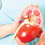 Police Launch Manhunt After Woman, Six Children Killed in Kano Attack