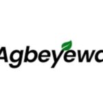 Fast-Track Key Abeokuta Link Road Project, Egba Group Urges FG