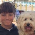 Ogun LG Dismisses Reports of Chief’s Suspension over Awujale Stool