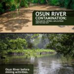 Zulum Pursues International Status for Buhari Airport, New NCAA Regional Hub