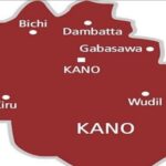 Rabiu Rises to Africa’s Fourth Richest as BUA Foods Profit Jumps 91%