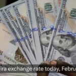 Court Orders Inquiry into Interior Minister’s Qualifications