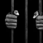 Nigerians: Lured or Voluntary Migration to War in Russia  ‎