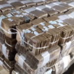 Banana Island Bans Short-Let Rentals After Robbery Arrests