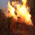 LP Vows to Resist Rigging in Ebonyi Council Polls