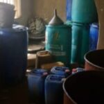 Suspect Nabbed as Eight Bodies Found in Forest