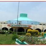 Utomi, Ezekwesili, Falana Condemn Senate’s Removal of E-Transmission Clause in Electoral Bill