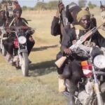 Dangote Cement Profits Double to N1 Trillion Following Price Hikes