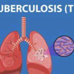 Delta Scraps Ozoro Festival After Viral Women Assaults Spark Outrage