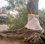 Lam-Adesina Joins Oyo Guber Bid, Says I Lack Money for Big Campaign but Trust God