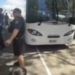 Trust Tinubu’s Power Sector Reforms, Adelabu Urges Nigerians