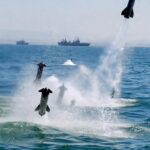 Troops Retake Ngoshe in Borno After Deadly Boko Haram Assault