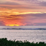 Ogun Appoints Bolarinwa-Adebowale New Procurement Director-General