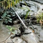 Egypt Clear $1.3 Billion Owed IOCs to Revive falling Production 