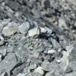 South Africa Invests $1.9 Million to Boost Local EV Battery Supply