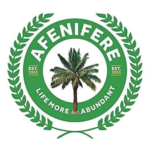 Igbo Group Urges FG to Fast-Track Establishment of State Police