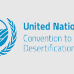 Tinubu’s Tax Overhaul Boosts Take-Home Pay, Wins International Support