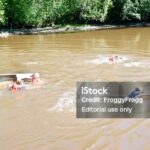 I’m Ready to Meet Tinubu for National Progress, Offers Sule Lamido