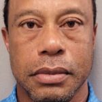 The Giants of Africa: A Tale of Two Hegemons